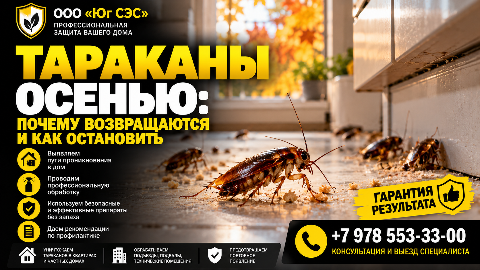 Тараканы осенью: почему возвращаются и как остановить | ООО «Юг СЭС»